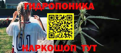 стаф Партизанск